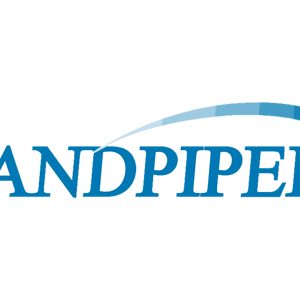 سندپایپر | Sandpiper
