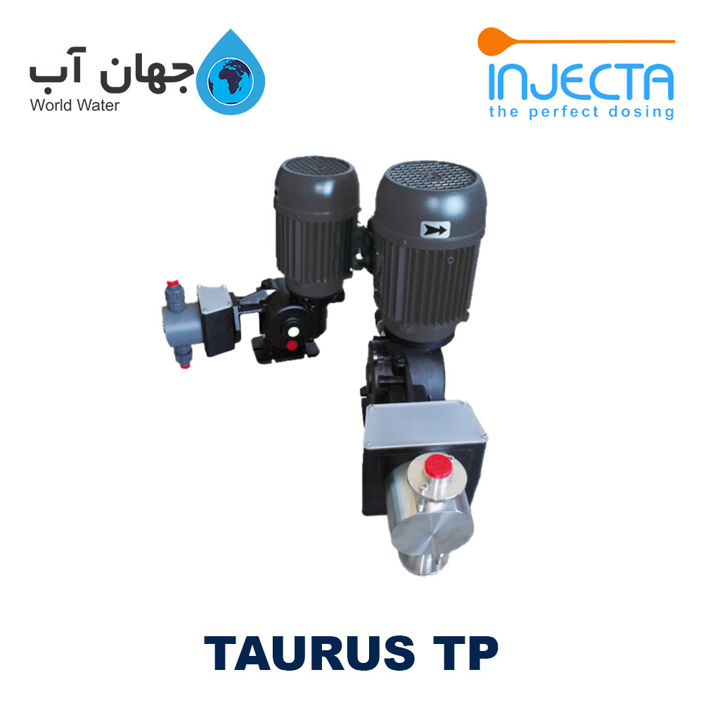 دوزینگ پمپ پیستونی موتوری اینجکتا سری TAURUS T