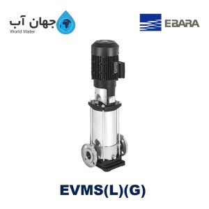 Ebara EVMS(L)(G)