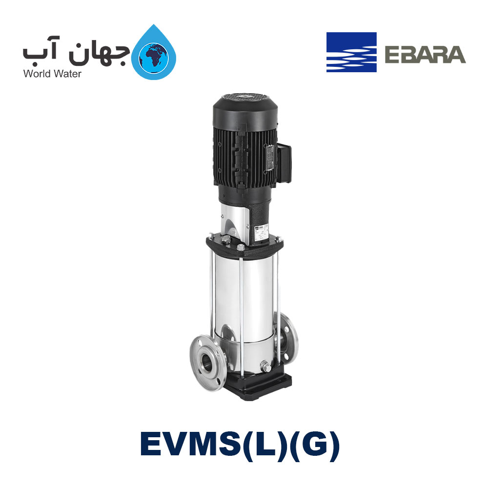 Ebara EVMS(L)(G)