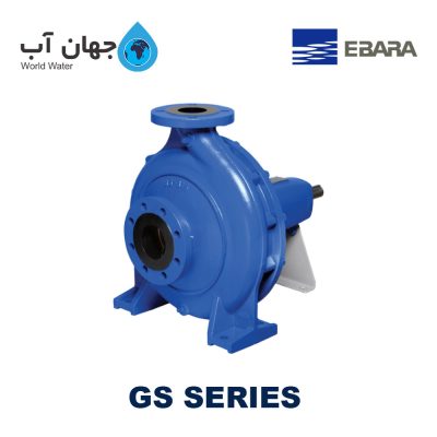 Ebara GS Series
