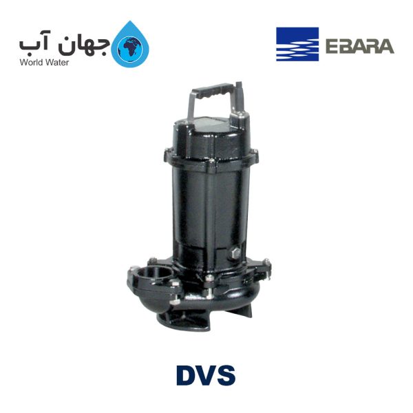 Ebara DVS
