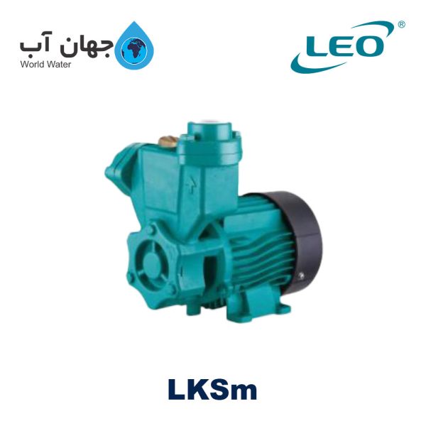 Leo LKSm