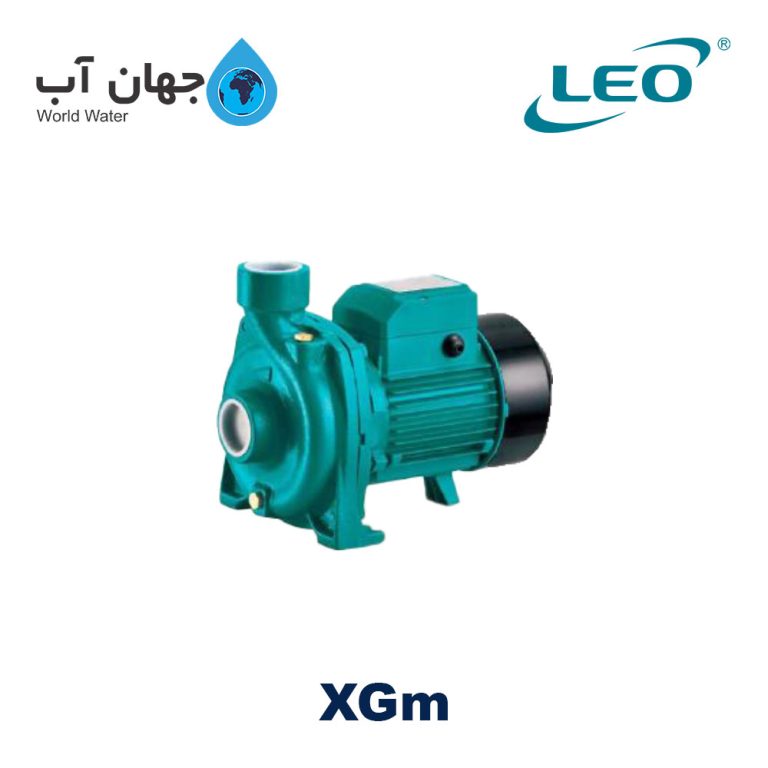 Leo XGm