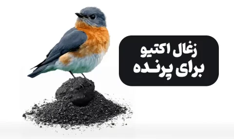 زغال فعال برای پرنده