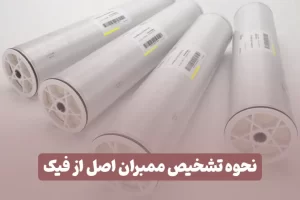 تشخیص ممبران اصل از تقبلی
