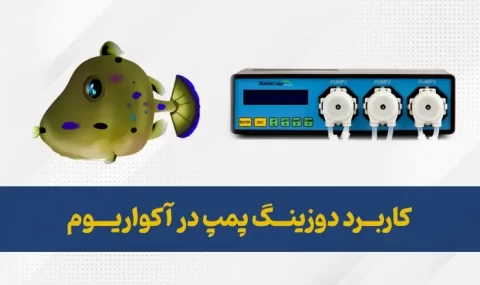 دوزینگ پمپ در آکواریوم