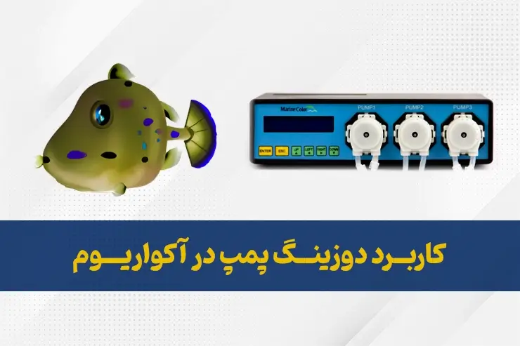 دوزینگ پمپ در آکواریوم