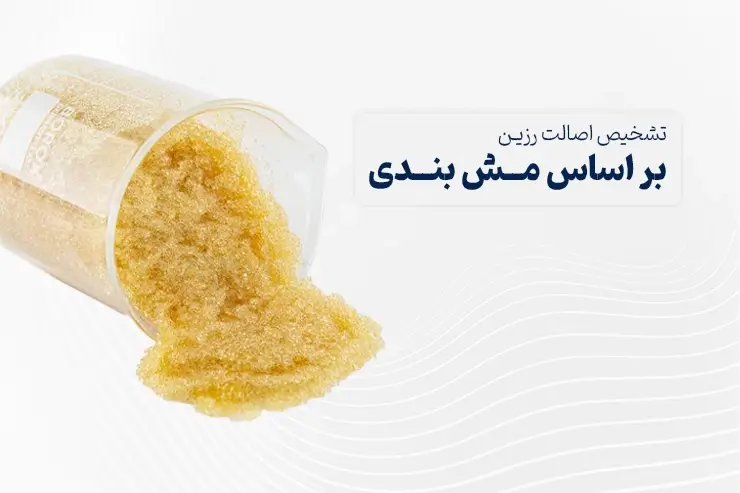 تشخیص اصالت رزین تبادل یونی
