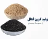 تولید و عملکرد کربن فعال از پوسته برنج برای حذف مواد آلی طبیعی از آب
