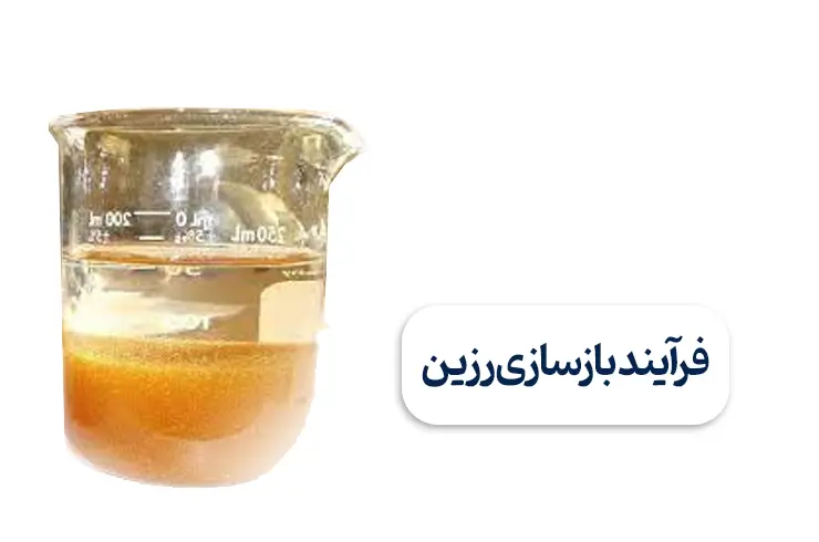 احیا رزین چیست