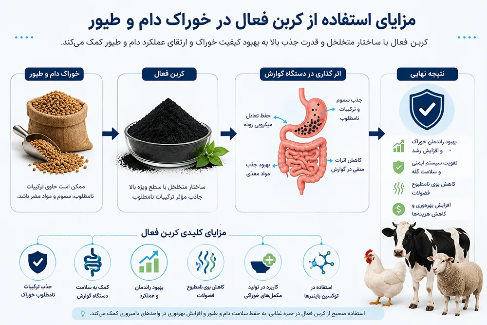 مزایای استفاده از کربن فعال در خوراک دام و طیور